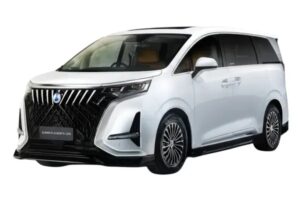 Denza D9 Premium Phantom Edition