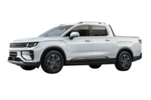 Riddara Econ 2WD 63 kWh